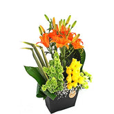 Arreglo Floral
